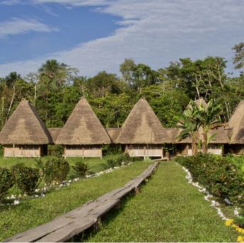 Sacha Lodge