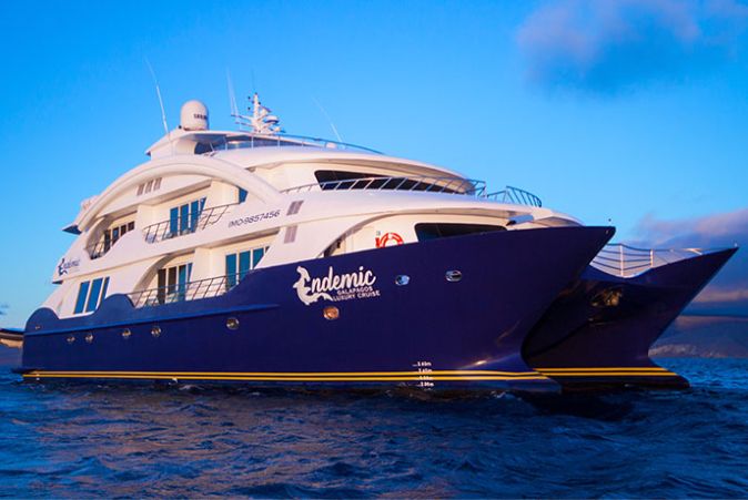 Luxury cruise endemic Luxury cruise endemic