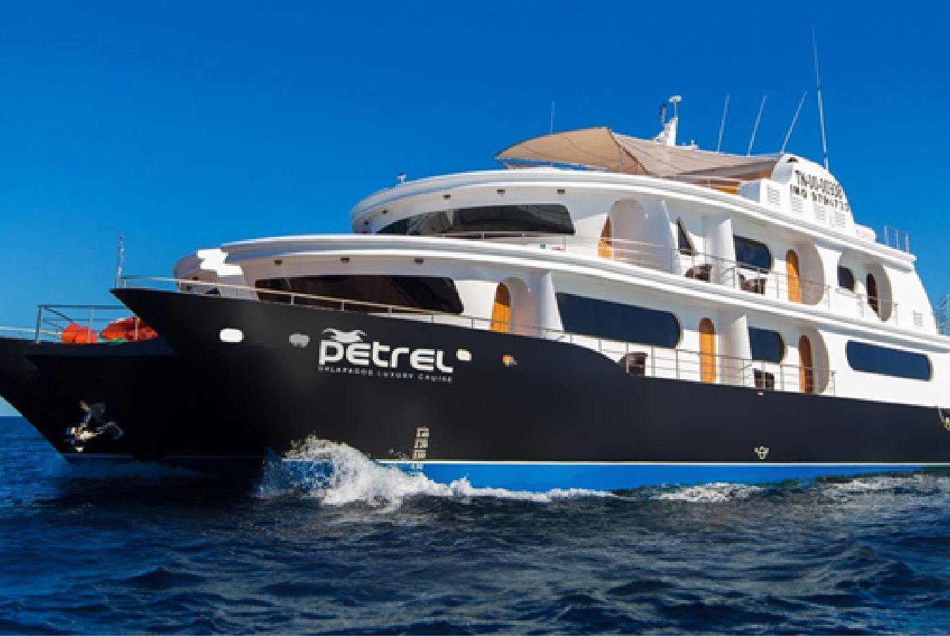 Luxury cruise petrel