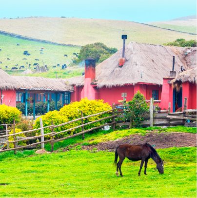 Haciendas andes tour