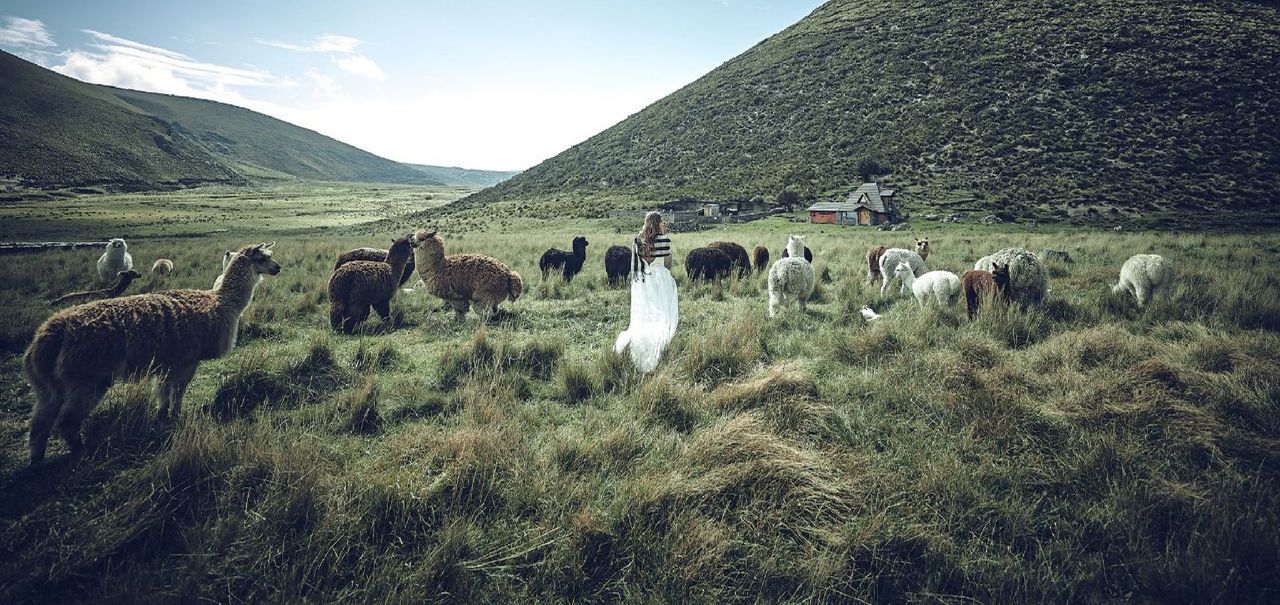 Destination wedding planner