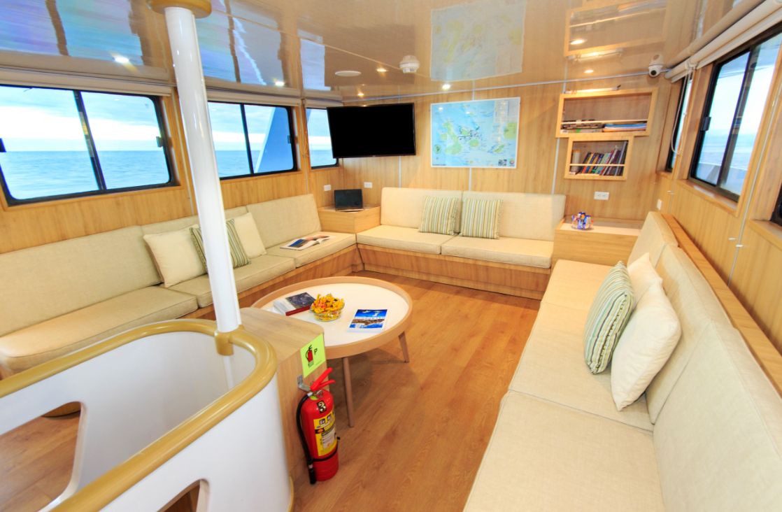 Midrange cruise aqua social aereas Midrange cruise aqua social aereas