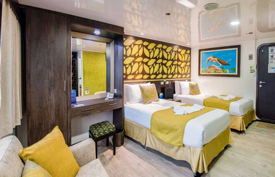 First class cruise ecogalaxy social areas