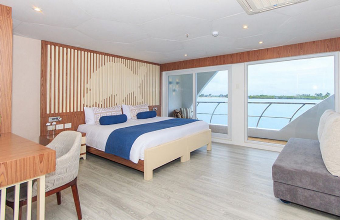 Luxury cruise endemic social aereas