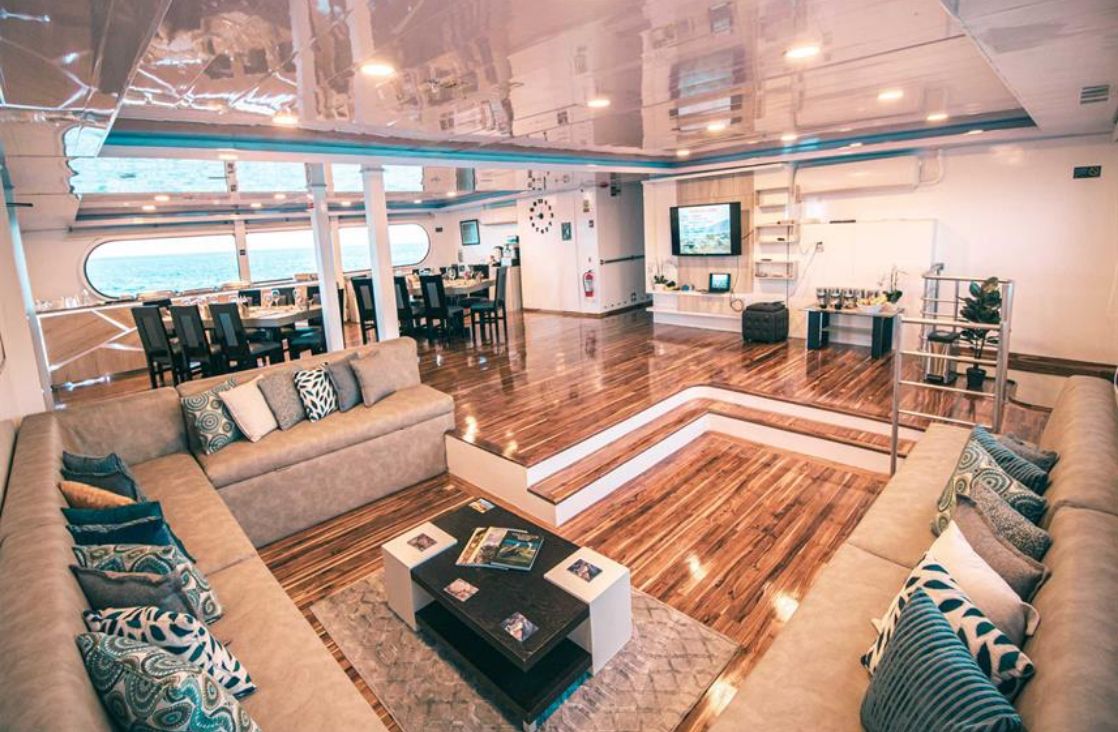 Luxury cruise petrel cabins