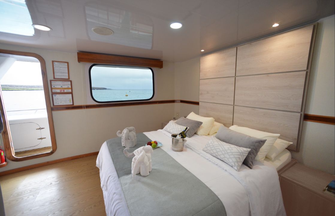 First class cruise seaman social areas