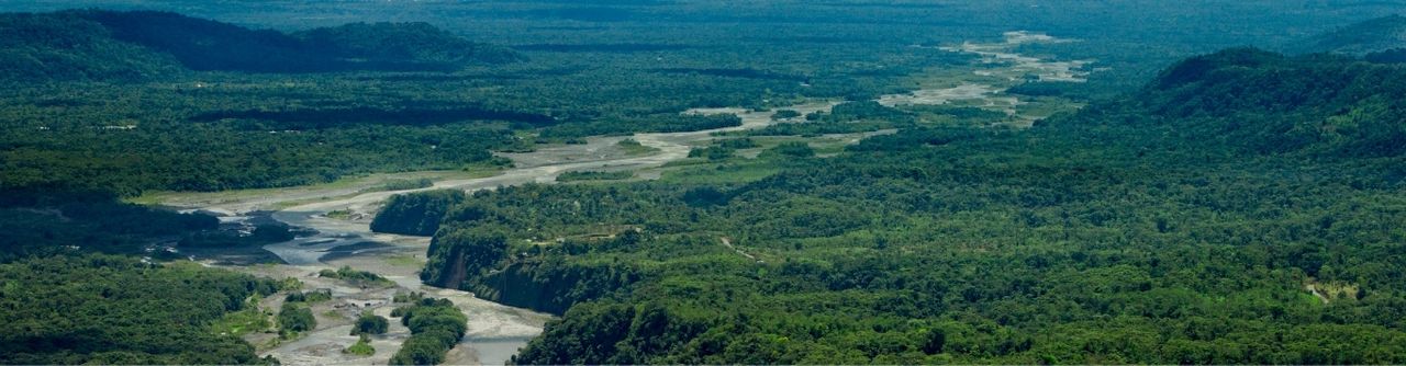 Ecuador Experience - Amazon Region
