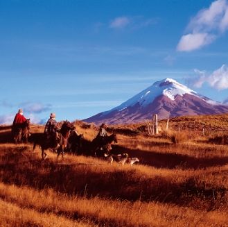 Ecuador Experience - Andes